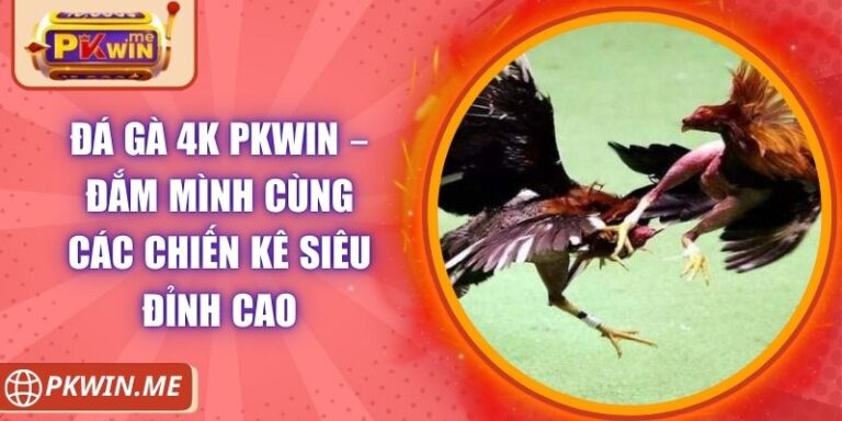 Đá gà 4k PKWIN – Đắm Mình Cùng Các Chiến Kê Siêu Đỉnh Cao