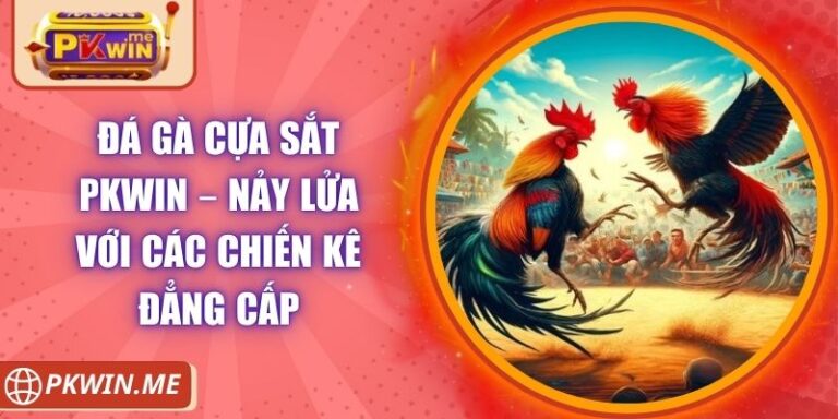 Đá Gà Cựa Sắt PKWIN – Nảy Lửa Với Các Chiến Kê Đẳng Cấp