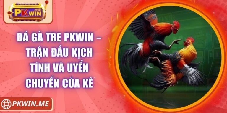 Đá Gà Tre PKWIN – Trận Đấu Kịch Tính Và Uyển Chuyển Của Kê