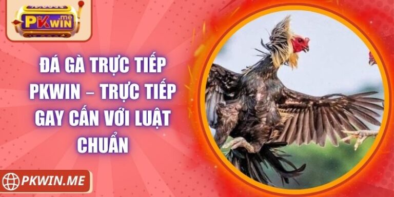Đá Gà Trực Tiếp PKWIN – Trực Tiếp Gay Cấn Với Luật Chuẩn