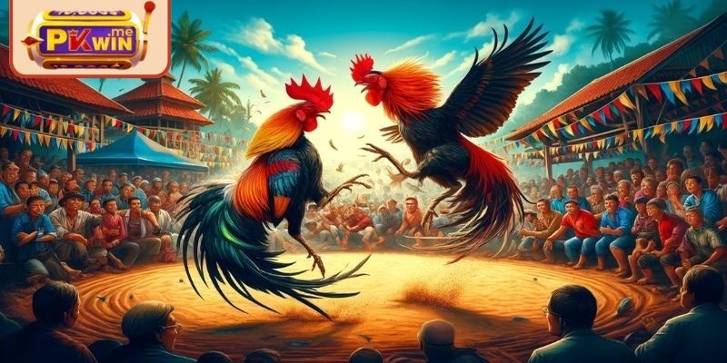 Quy định thời gian và thể thức đấu